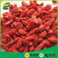 Jagody goji bayas secas wolfberry